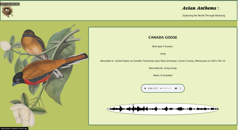 Screenshot thumbnail #3 for project Avian Anthems