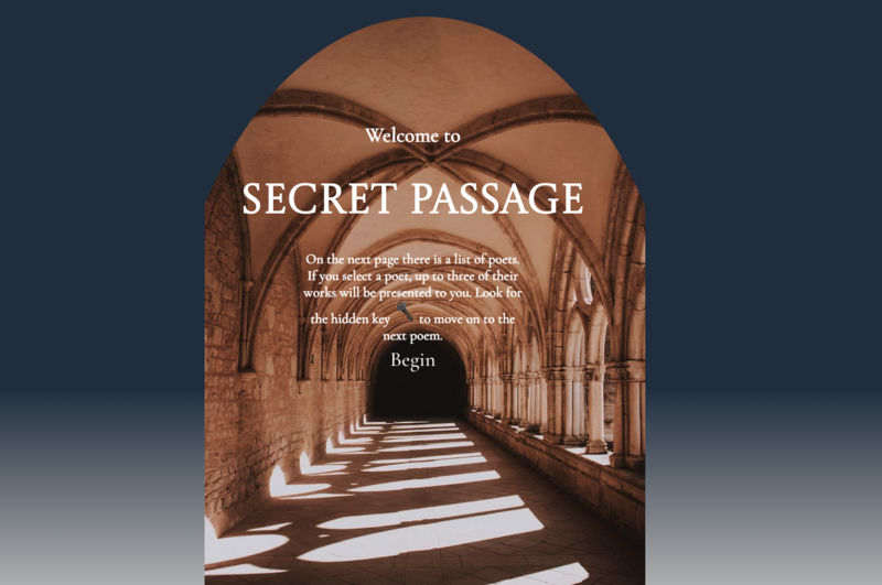 Screenshot thumbnail #3 for project Secret Passage