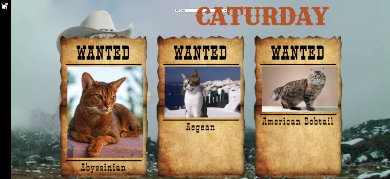Screenshot thumbnail #2 for project Caturday