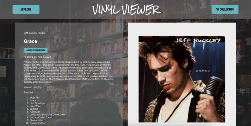 Screenshot thumbnail #3 for project Vinyl Viewer