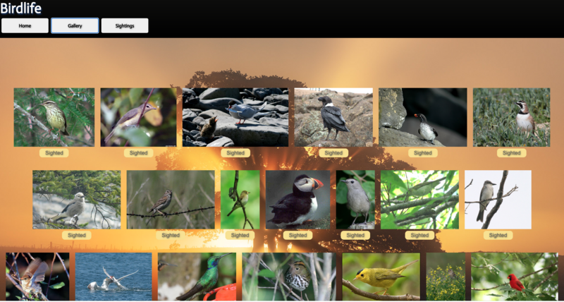 Screenshot thumbnail #2 for project Birdlife