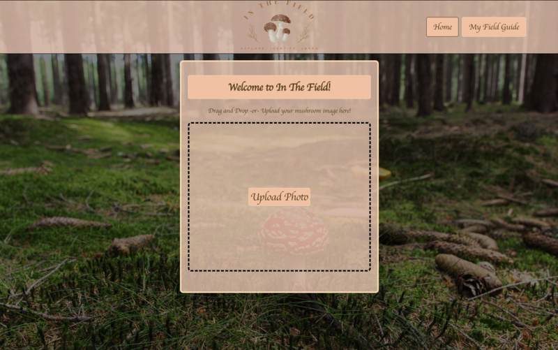 Screenshot detail for project In The Field - Explore, Identify, Learn
