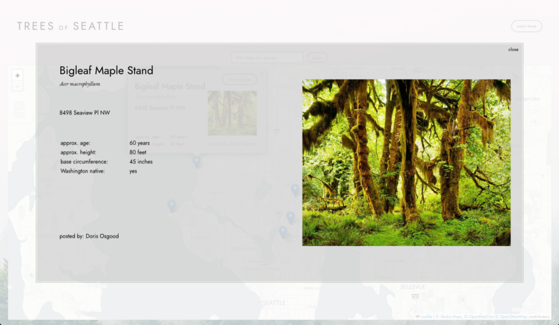 Screenshot thumbnail #2 for project Trees of Seattle