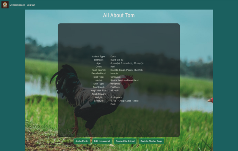 Screenshot thumbnail #3 for project Chicken Tracker
